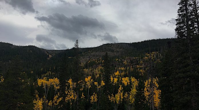 Fall Hikes and Friends Go Best Together