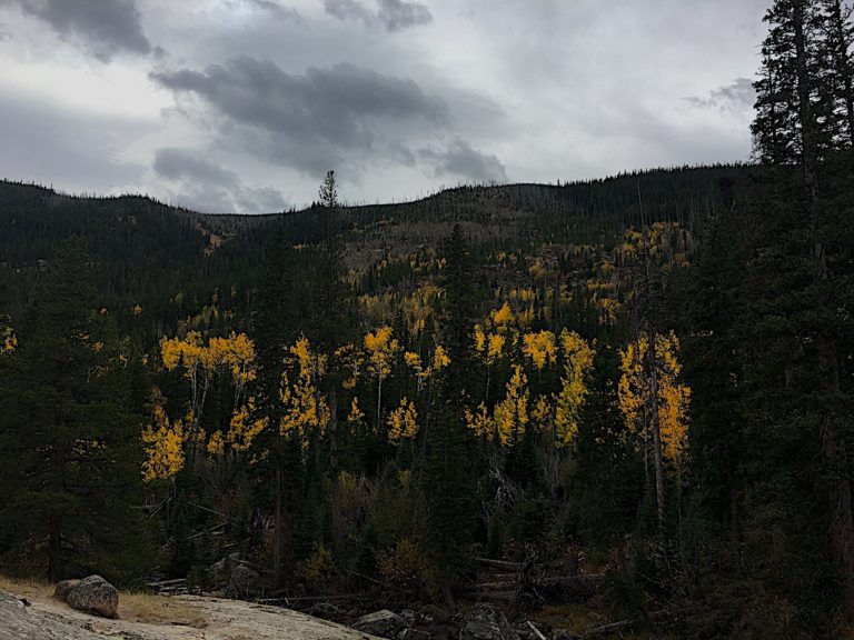 Fall Hikes and Friends Go Best Together