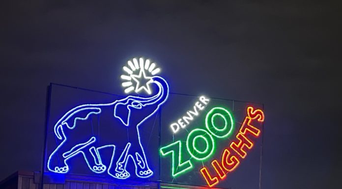 A Date Night under the Lights